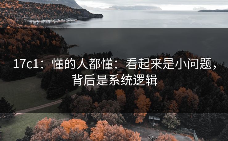 17c1:懂的人都懂:看起来是小问题,背后是系统逻辑