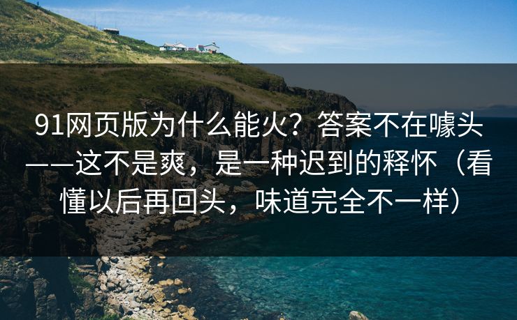 91网页版为什么能火？答案不在噱头——这不是爽，是一种迟到的释怀（看懂以后再回头，味道完全不一样）