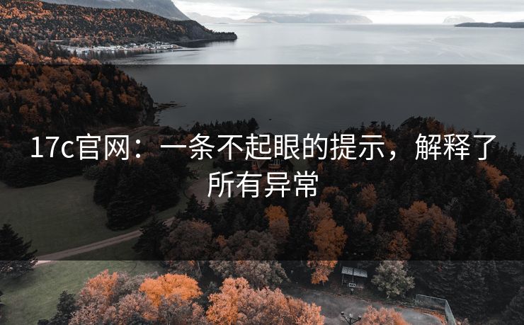 17c官网：一条不起眼的提示，解释了所有异常