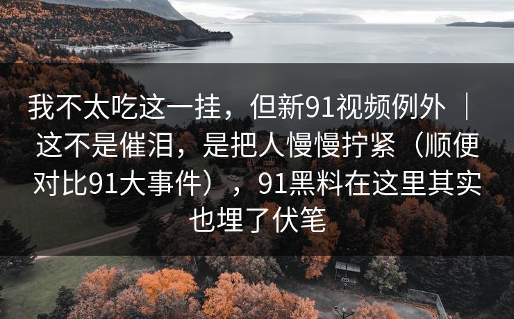 我不太吃这一挂，但新91视频例外 ｜ 这不是催泪，是把人慢慢拧紧（顺便对比91大事件），91黑料在这里其实也埋了伏笔