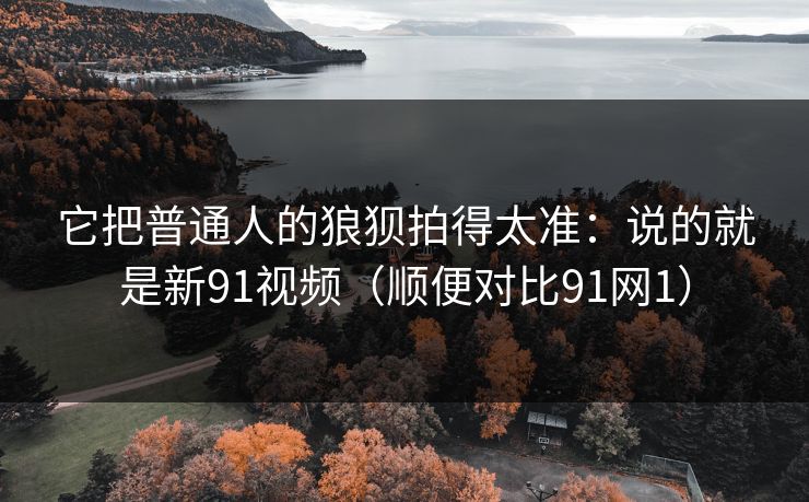 它把普通人的狼狈拍得太准:说的就是新91视频(顺便对比91网1)