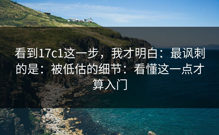 看到17c1这一步,我才明白:最讽刺的是:被低估的细节:看懂这一点才算入门