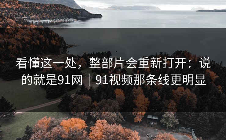 看懂这一处，整部片会重新打开：说的就是91网｜91视频那条线更明显